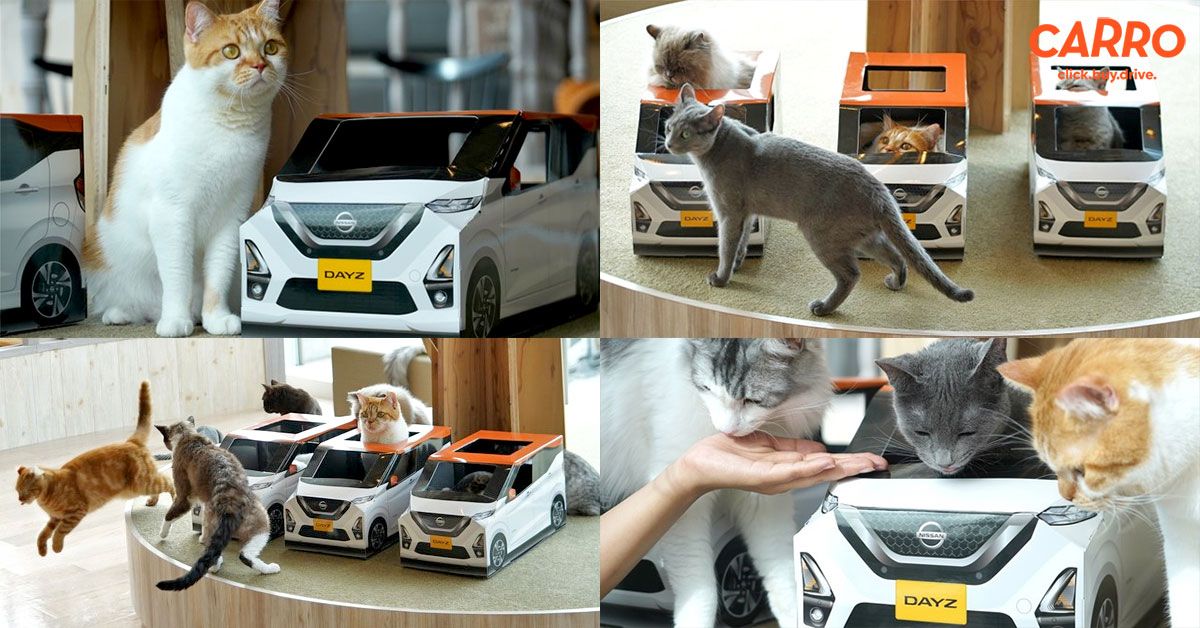 Nissan ลุยคาเฟ่แมวทั่วญี่ปุ่น กับ Nissan Dayz คันจิ๋ว ที่ทาสแมวต้องซื้อให้เจ้านายแล้วล่ะ!